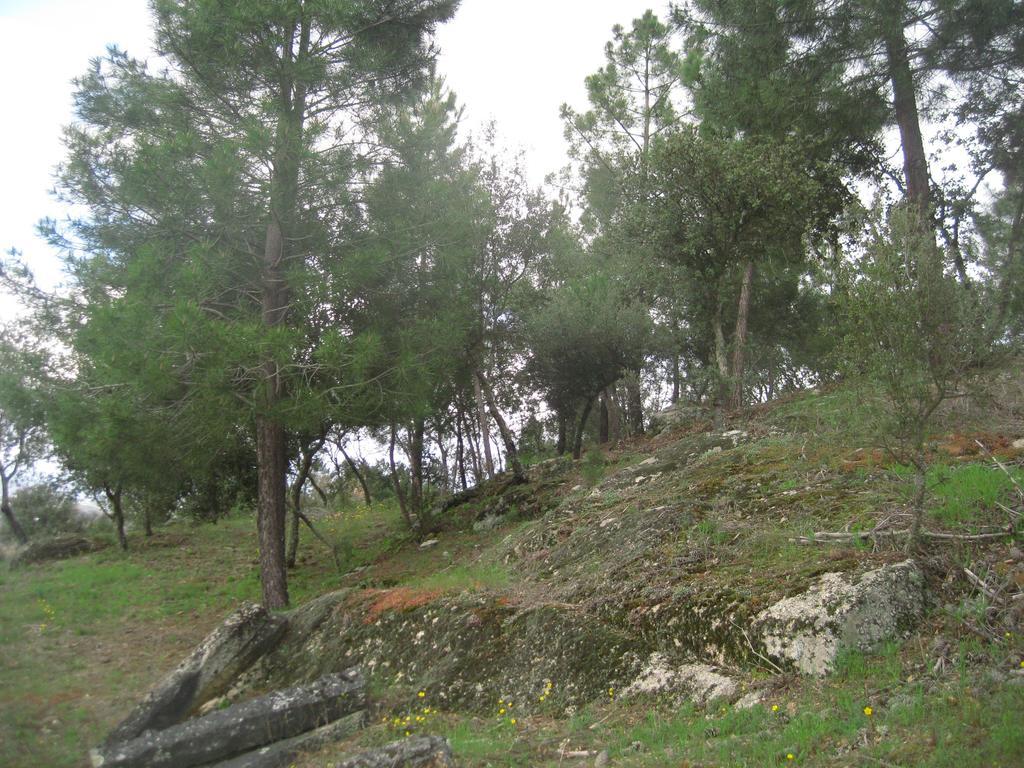 Quinta Santa Isabel Villa Chaves Buitenkant foto
